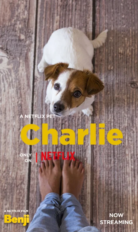 netflix_benji_photo_01