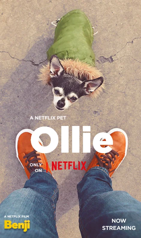 netflix_benji_photo_02